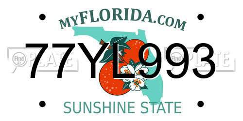 77YL993 Florida License Plate