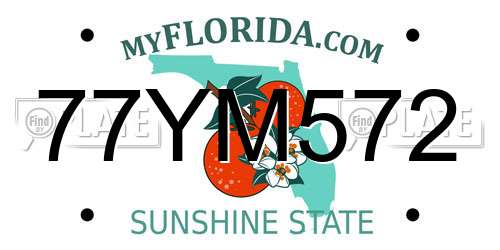 77YM572 Florida License Plate