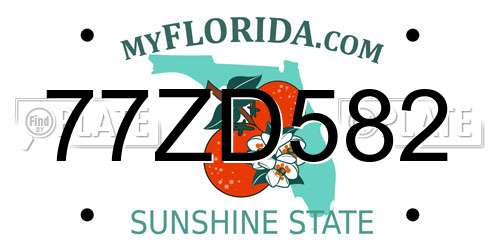 77ZD582 Florida License Plate