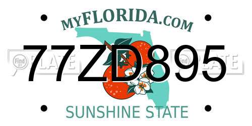 77ZD895 Florida License Plate