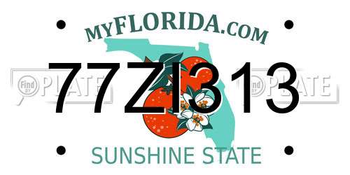 77ZI313 Florida License Plate