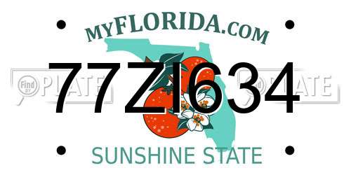 77ZI634 Florida License Plate