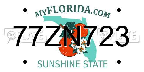 77ZN723 Florida License Plate
