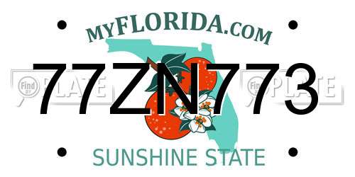 77ZN773 Florida License Plate