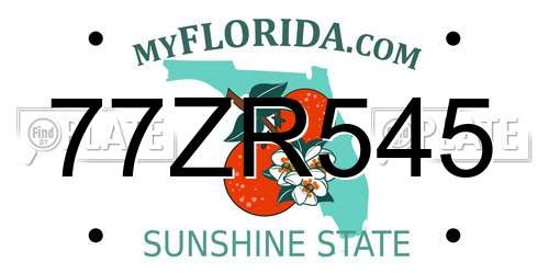 77ZR545 Florida License Plate