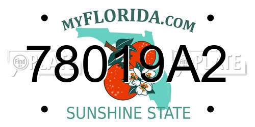 78019A2 Florida License Plate