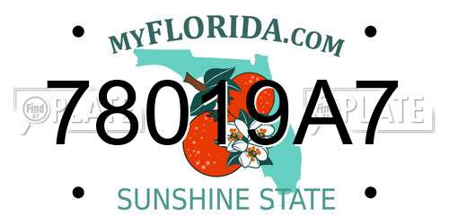 78019A7 Florida License Plate