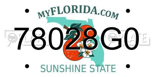 78028G0 Florida License Plate