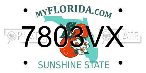7803VX Florida License Plate