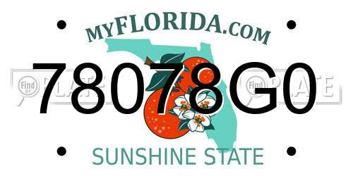 78078G0 Florida License Plate