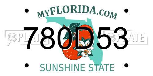 780D53 Florida License Plate