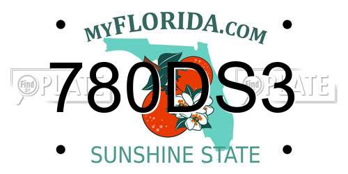 780DS3 Florida License Plate