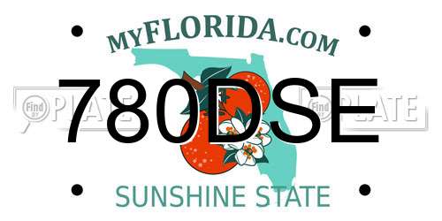 780DSE Florida License Plate