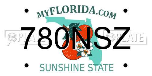 780NSZ Florida License Plate