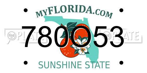 780O53 Florida License Plate