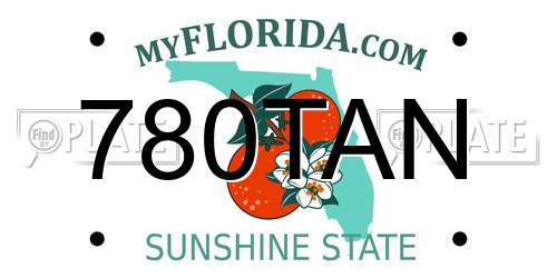 780TAN Florida License Plate