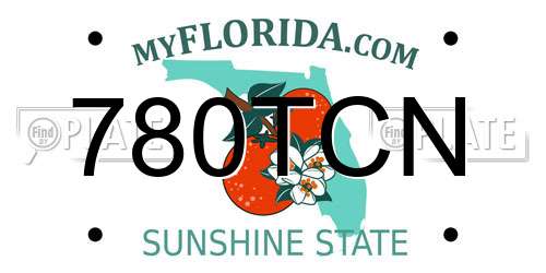 780TCN Florida License Plate
