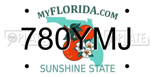 780YMJ Florida License Plate