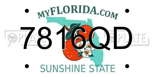 7816QD Florida License Plate