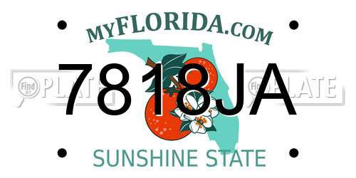 7818JA Florida License Plate