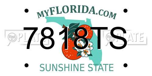 7818TS Florida License Plate