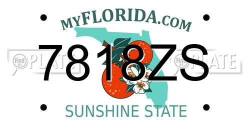 7818ZS Florida License Plate