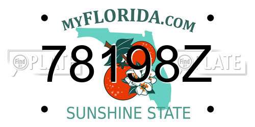 78198Z Florida License Plate