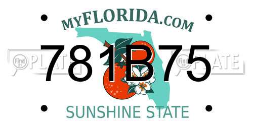 781B75 Florida License Plate