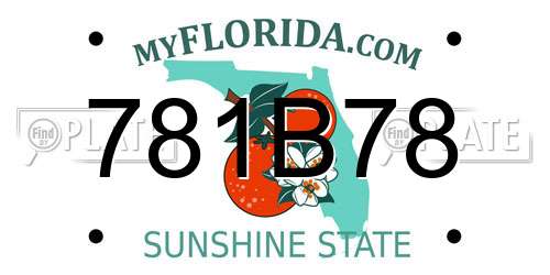 781B78 Florida License Plate