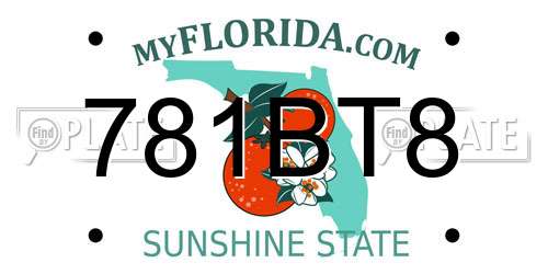 781BT8 Florida License Plate