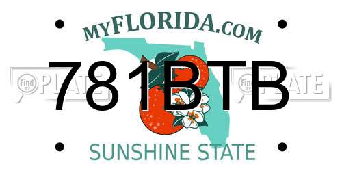 781BTB Florida License Plate