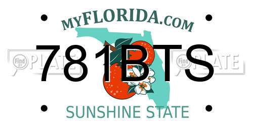 781BTS Florida License Plate