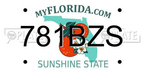 781BZS Florida License Plate