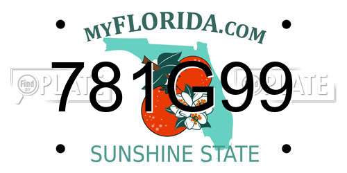 781G99 Florida License Plate