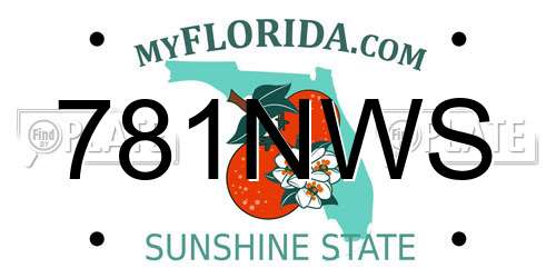 781NWS Florida License Plate