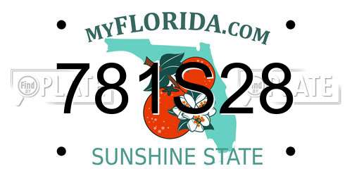 781S28 Florida License Plate