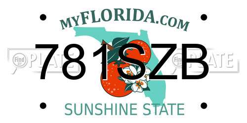 781SZB Florida License Plate