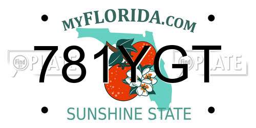 781YGT Florida License Plate