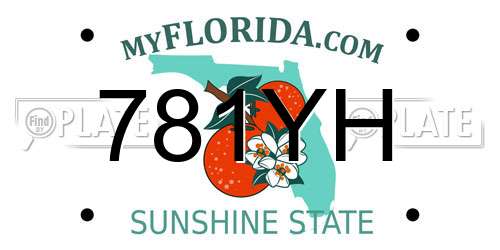 781YH Florida License Plate