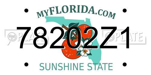 78202Z1 Florida License Plate
