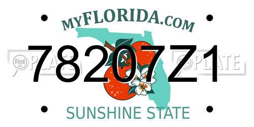 78207Z1 Florida License Plate