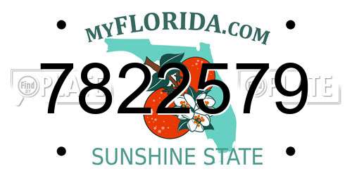 7822579 Florida License Plate
