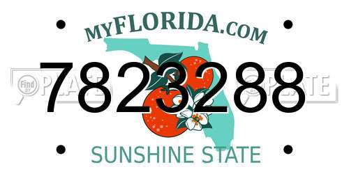 7823288 Florida License Plate