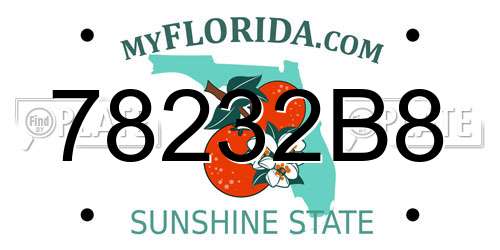 78232B8 Florida License Plate