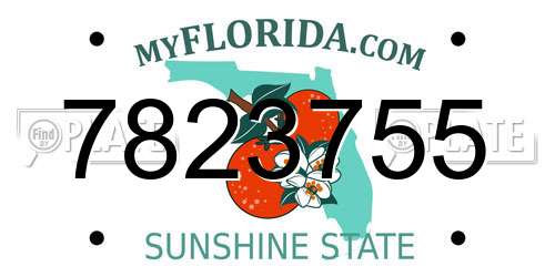 7823755 Florida License Plate