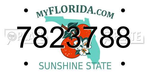 7823788 Florida License Plate