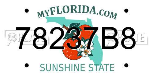 78237B8 Florida License Plate