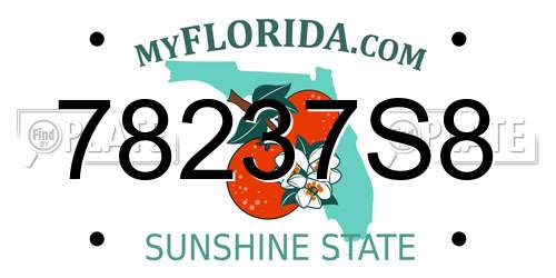 78237S8 Florida License Plate