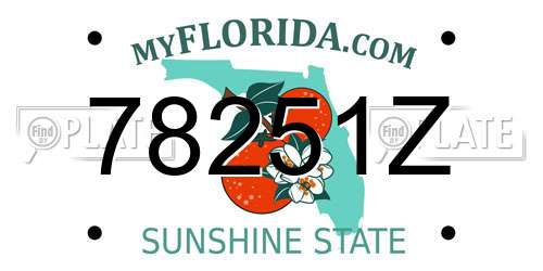 78251Z Florida License Plate