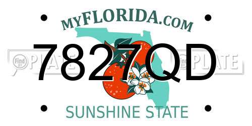 7827QD Florida License Plate